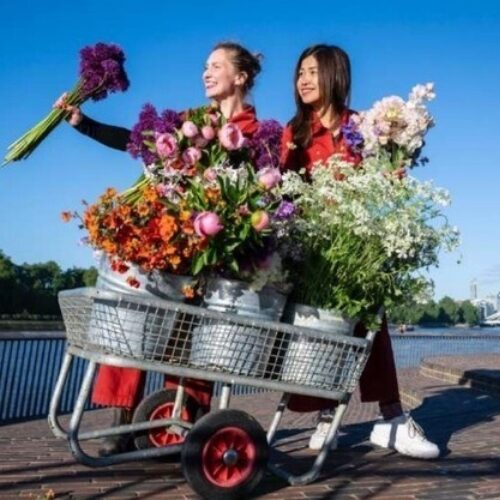 Flowers from the Farm members deliver flowers to RHS Chelsea Flower Show