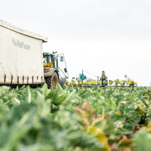 Foodari Farm Visit 13 04 22 44