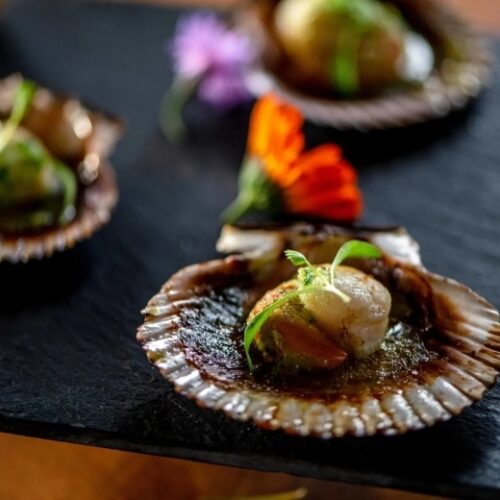 Frasers Scallop week 2026