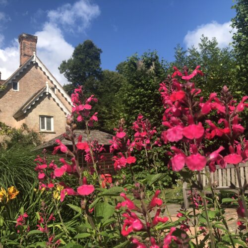 GReat Comp 06 CE3 AD9 2 E01 4170 BF33 7 F482 A9323 C4