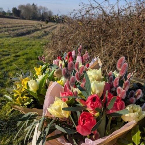 G Roombridge Farm Shop tulips