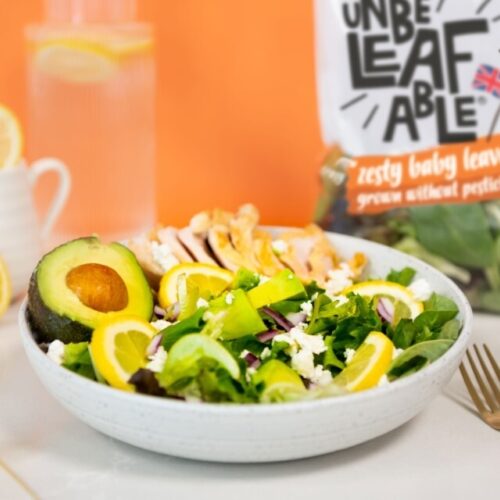 G Rowup Farms ZESTY BL March24 shot 2 LR Custom