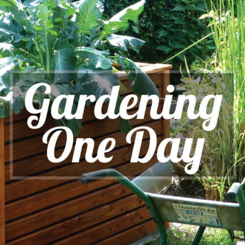 Gardening one day 207 21x207 21