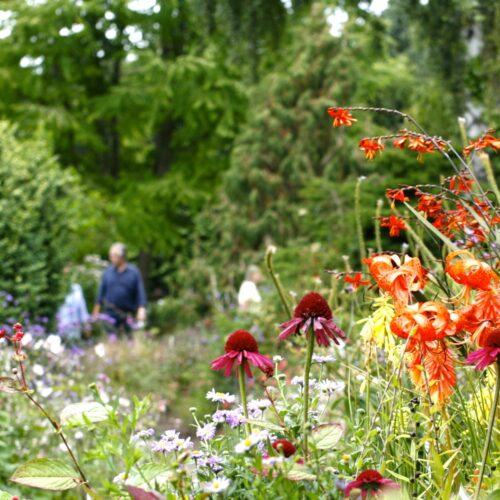 Great Comp 5462 EF21 5 A8 C 43 B8 9 B68 540 A9 F0 FEA46