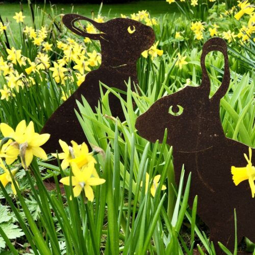 Great Comp bunny hunt 1