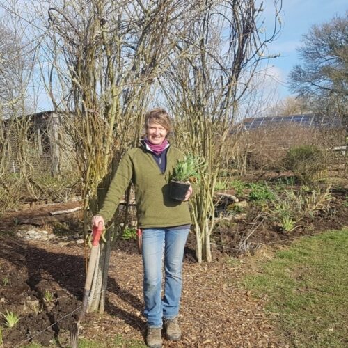 Green Farm Rachel clarke