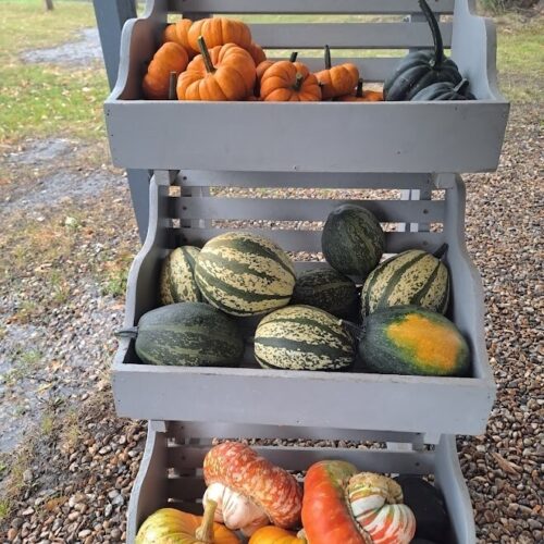 Groombridge Squash stack