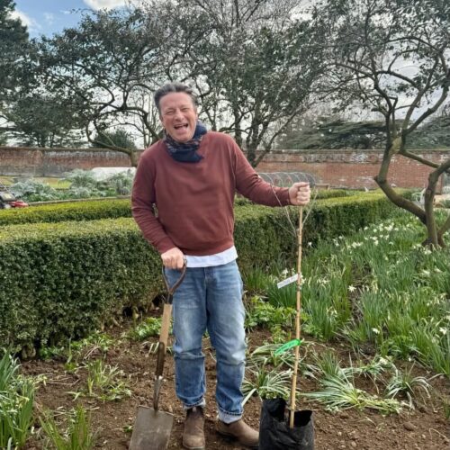 Grow Fruit Trees Jamie Oliver