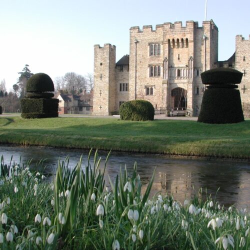 Hever Castle Snow Drops