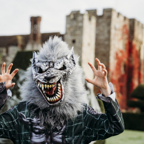 Hever Halloween 21 Kate York 4