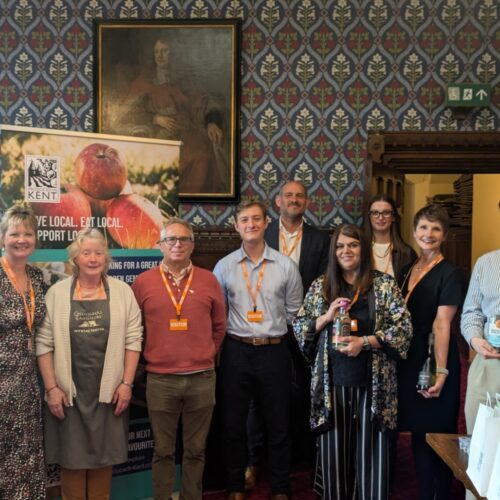 Houses of Parliament 2025