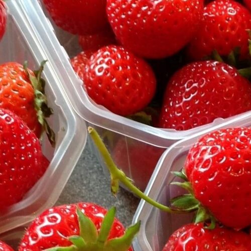 Ide Hill Strawberries