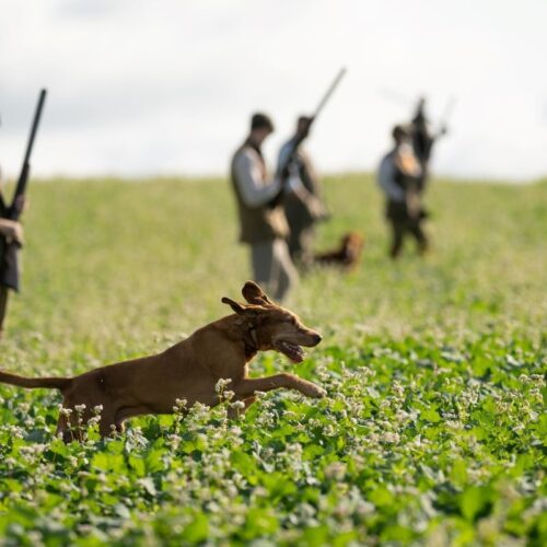 January Flavours Newsletter Morghew