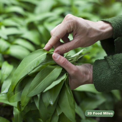 K Ent Veg Box wild garlic fm