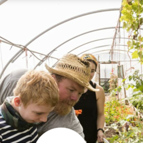 Kent Downs Grow your own pizza