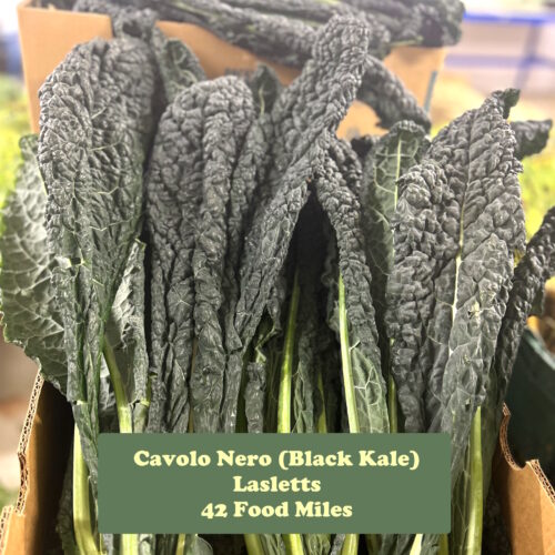 Kent Veg Box cavolonero plant fm