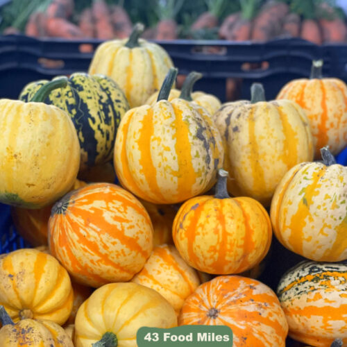 Kent Veg Box squash celebration fm