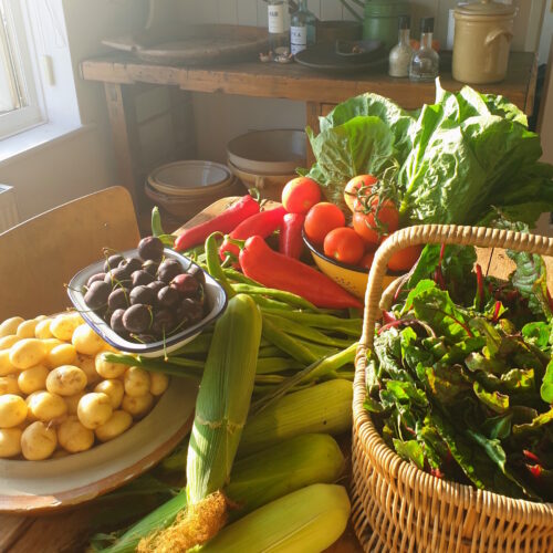 Kent veg box kitchen 2 1800sq