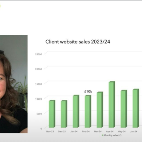 Klarity Marketing Client website sales