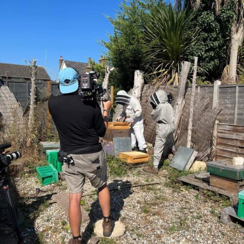 L Enham Farmers Markets Brays Bees