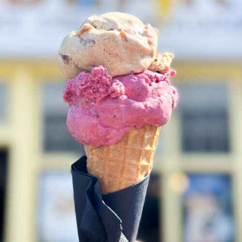 Macknade Bears Ice Cream