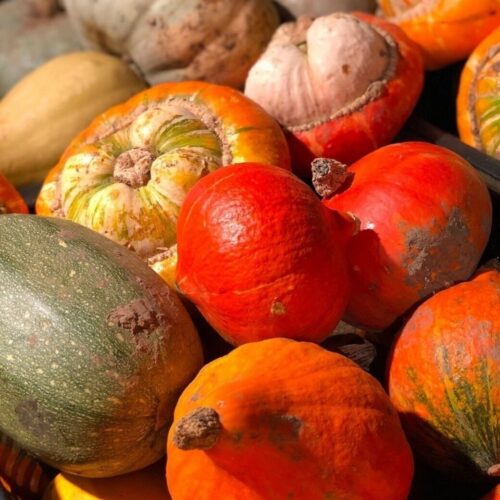 Macknade Halloween Produce 2 Sq