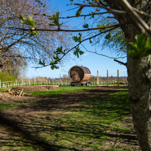 Macknade Seascrub Sauna 1