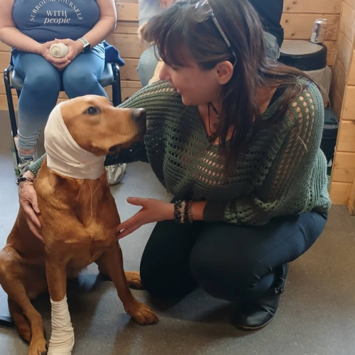 Macknade dog first aid