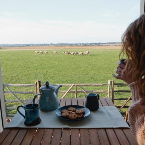 Medium Romney Marsh Web page