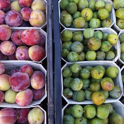 My Farmers Market July stone fruit 2026