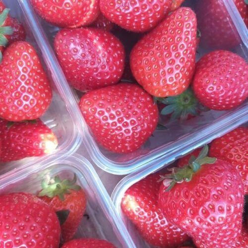 My Farmers Market Soft Fruit Custom