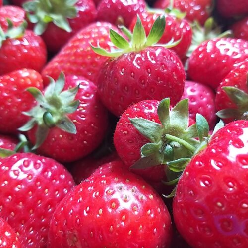 My Farmers Market Strawberries