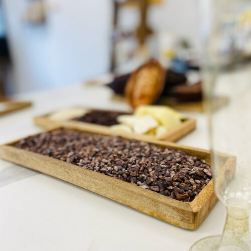 N2 Sweet Lab chocolate microscope