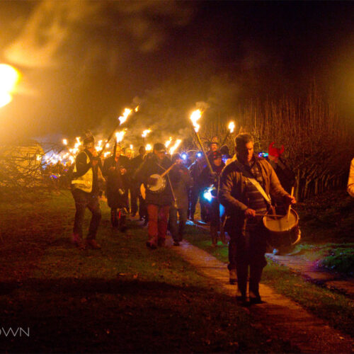 Nightingale Cider STG 0101x WMS