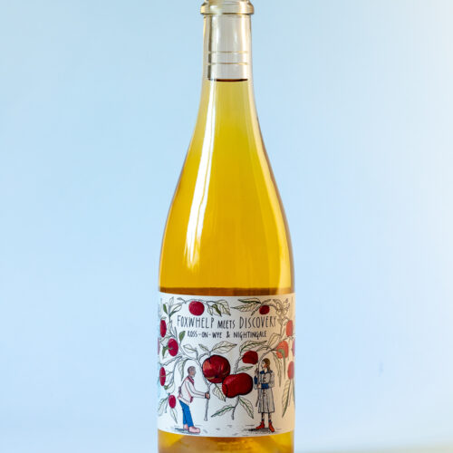 Nightingale Foxwhelp Disco lo res 0521