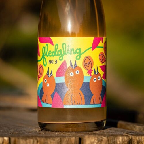 Nightingale fledgeling