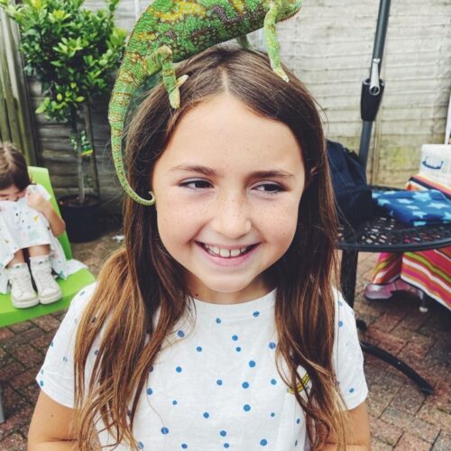 Our Amazing Animal World