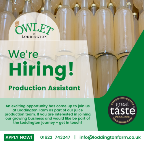 Owlets Production Assistant