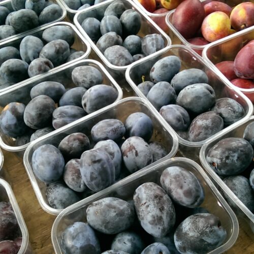 PLUMS AT THE FARMERS MARKET