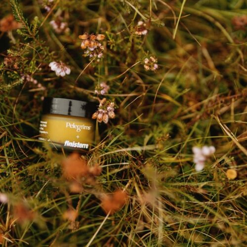 Pelegrim Finisterre in plants Large