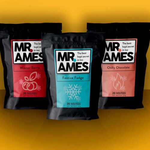 Pi NK Bulletin Mr Ames1