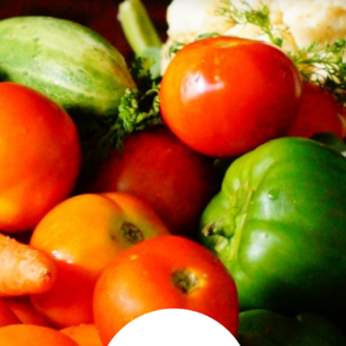 Pilgrims Harvest festival lunch