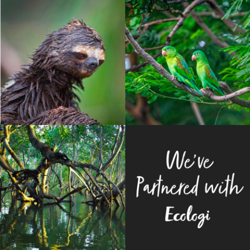 Plant a Tree Denys Fielding