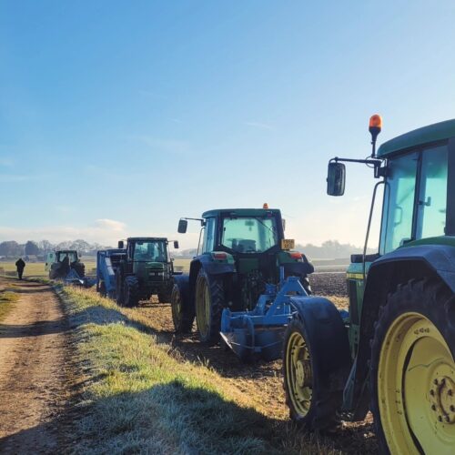 Potato Shop April Flavours Newsletter