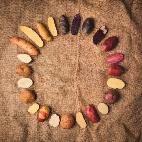 Potato Shop December Flavours Newsletter Custom