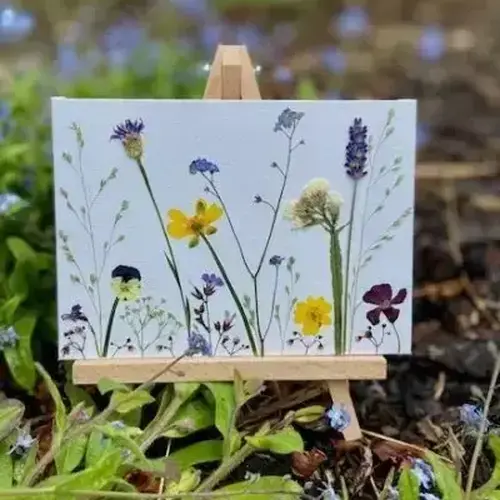 Pressed flower workshop