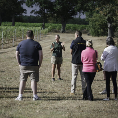 Produced in Kent Warehorne Vineyard Event Photography 0011