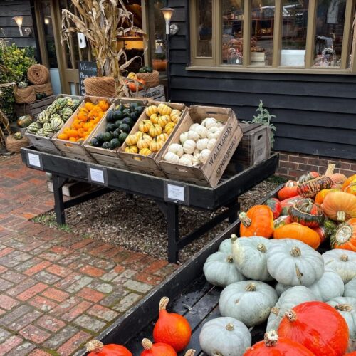 Pumpkins Castle Farm 20211 Sq