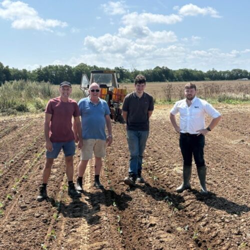 Quex veg announcement image