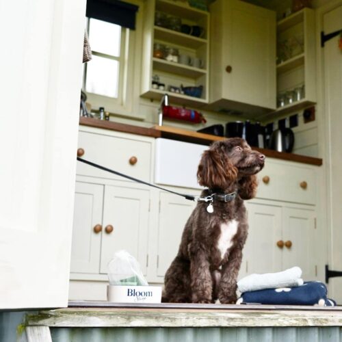 R Omney Marsh Shepherd Hut Dog Friendly